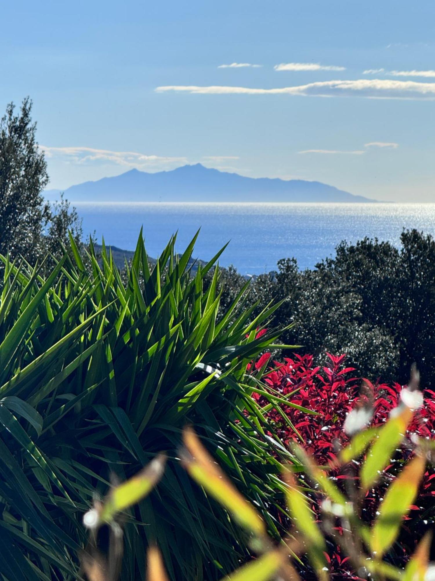 Gite Independant Dans Villa Entre Mer Et Maquis Sisco Екстериор снимка